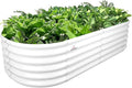 A ANLEOLIFE 6X2X1.5 ft Galvanized Raised Garden Beds Outdoor, Oval Round Metal by AAnleolife