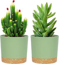 QCQHDU 5 inch Plant Pot, 2 Pack Planters by QCQHDU