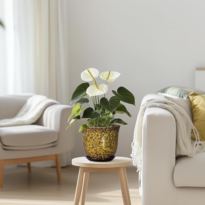 Ceramic Plant Pots - Image 7