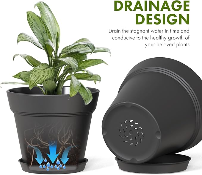 5 Inch Plastic Plant Pots with Drainage Holes and Trays – 6 Pack Small Nursery - Image 4