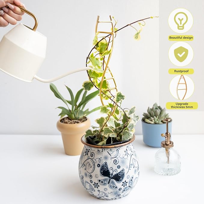 Indoor Plant Trellis for Potted Plants - Image 6