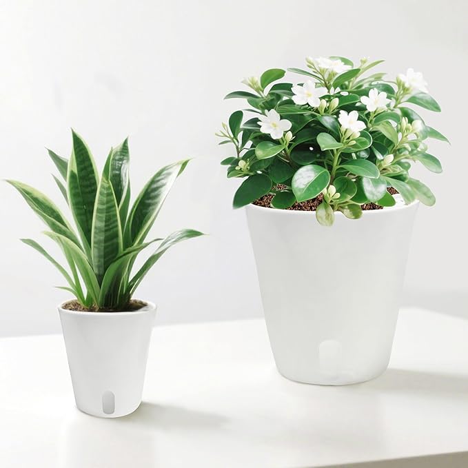3" Self Watering Pots - Image 7