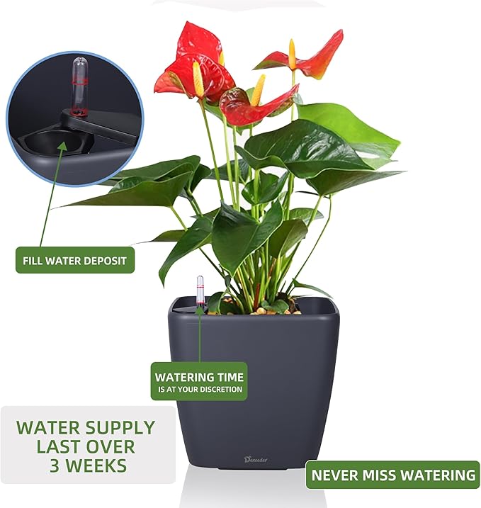 Dexceder 13x12 Self Watering Planter - Image 5