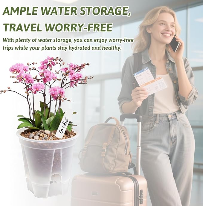 Clear Self Watering Pots for Indoor Plants - Image 2