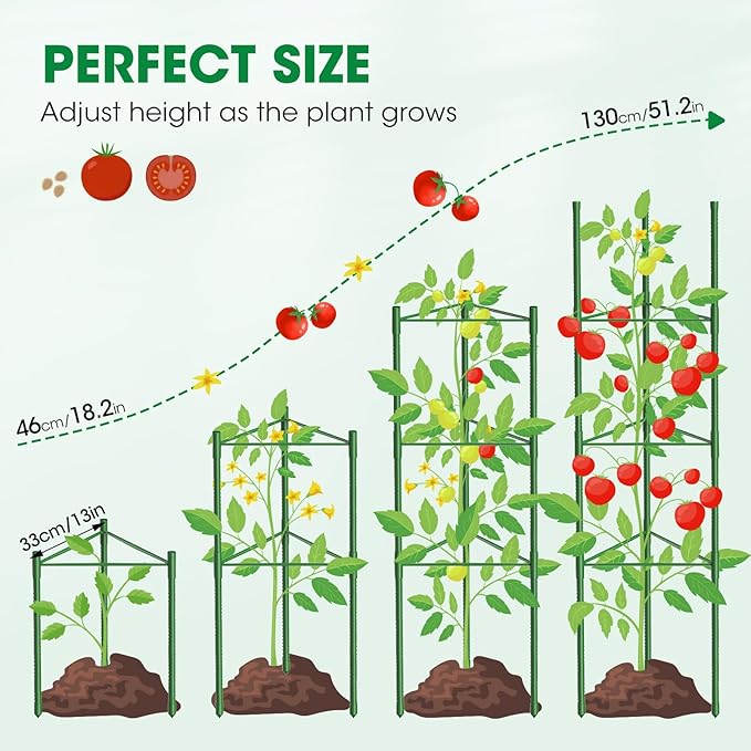 6 Pack Tomato Cages, 51.2in Tomato Plant Support Stakes Heavy-Duty, Garden - Image 4