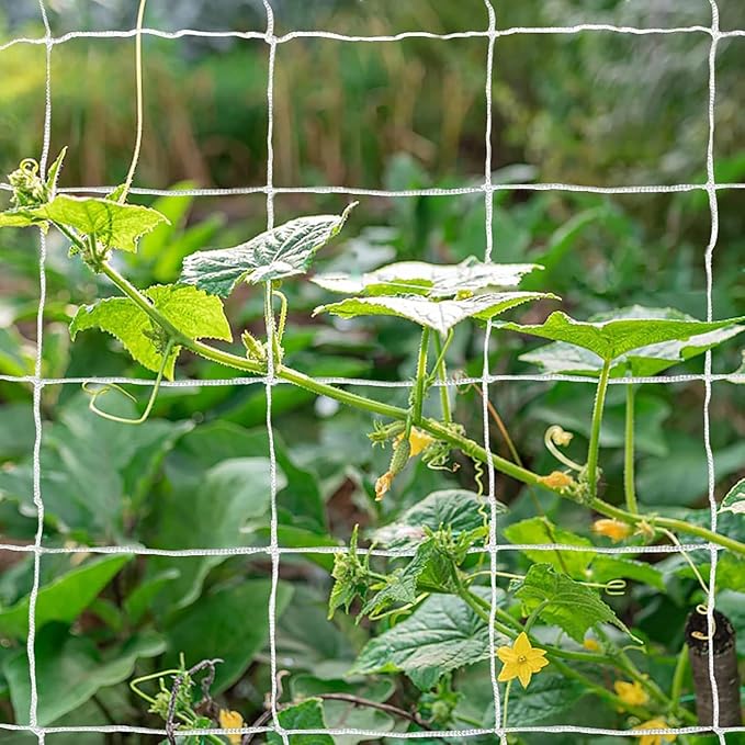 Tcamp Heavy-Duty Polyester Plant Trellis Netting 5 x 15ft - Image 2