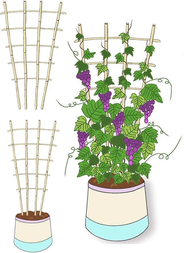 Natural Bamboo Trellis, Fan-Shaped Plant Support Trellis - Image 4