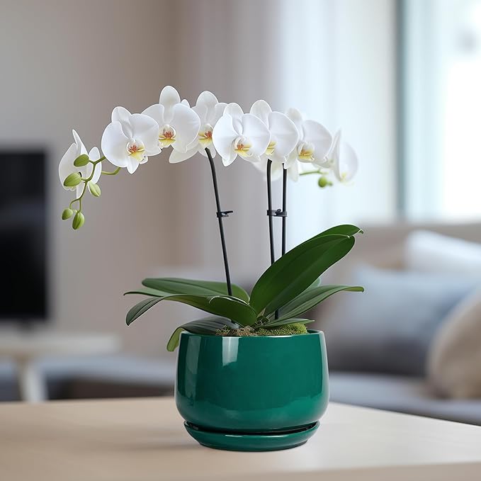 G EPGardening 6 Inch Plant Pot - Image 5
