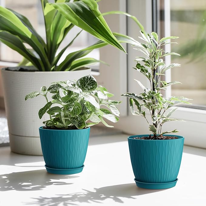 6 inch Plant Pots, 5 Pack Flower Pots - Image 7