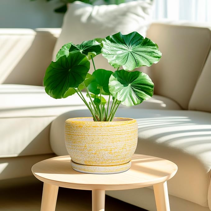 SQOWL Ceramic Flower Pots - Image 2