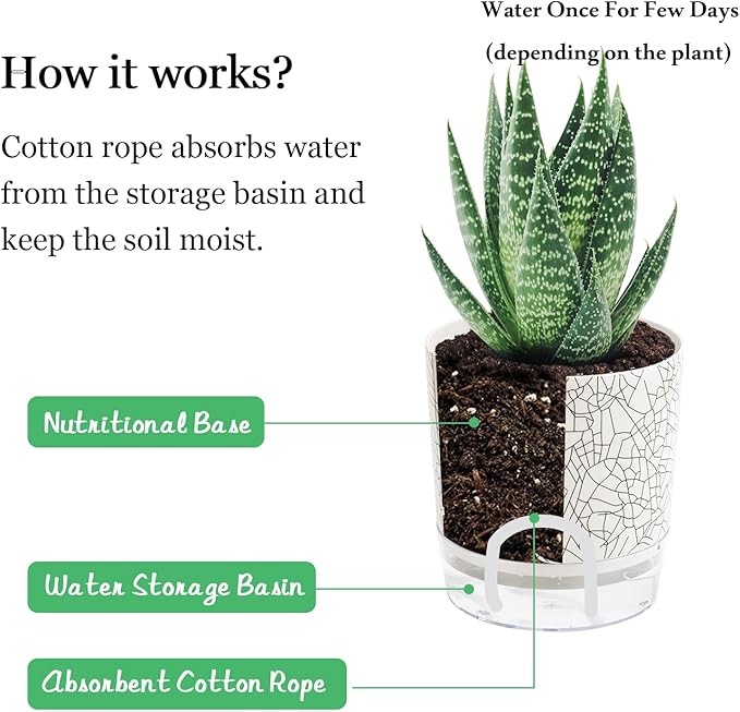 Self Watering Pots for Indoor Plants, 6 & 5 & 4 Inch Stylish Flower Pots - Image 6