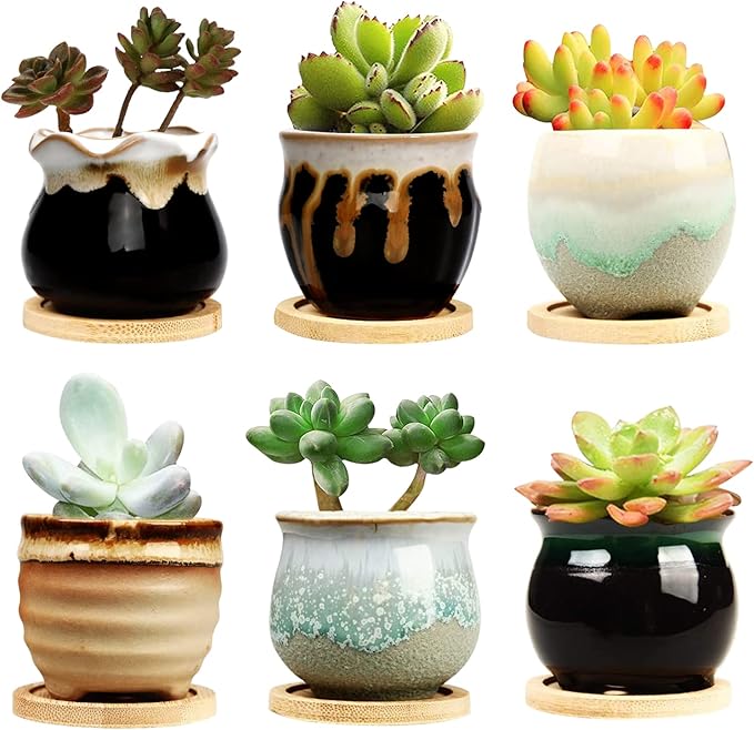 Brajttt 2.1 Inch Succulent Pot by Brajttt