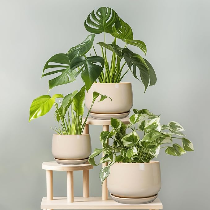 G EPGardening Ceramic Planter - Image 7