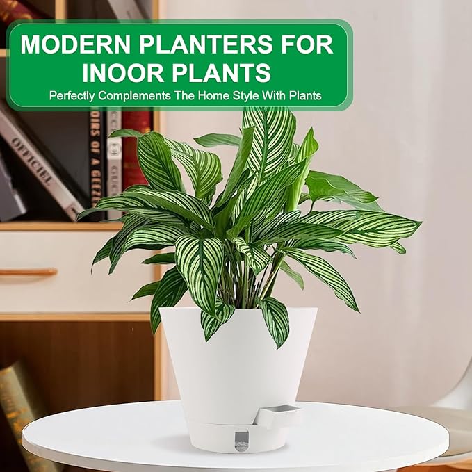 Self-Watering-Pots-for-Indoor-Plants, 8 Inch Flower Pots - Image 6