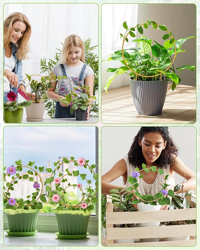 3 Pack Premium Round Plant Trellis Indoor, Small Metal Plant Support Stake - Image 7
