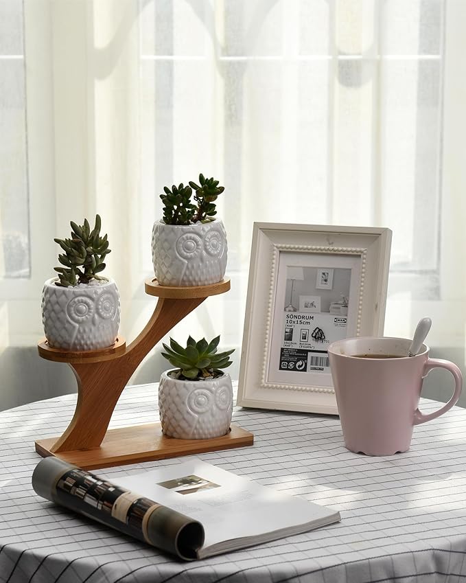 FLOWERPLUS Planter Pots Indoor, 3 Pack 3 Inch White Ceramic Decorative Small - Image 6