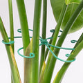 Monstera Plant Stem Support by Yohsnor