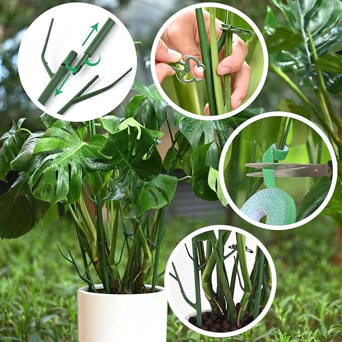 4 Pack Plant Support Stakes, Plant Stakes - Image 4