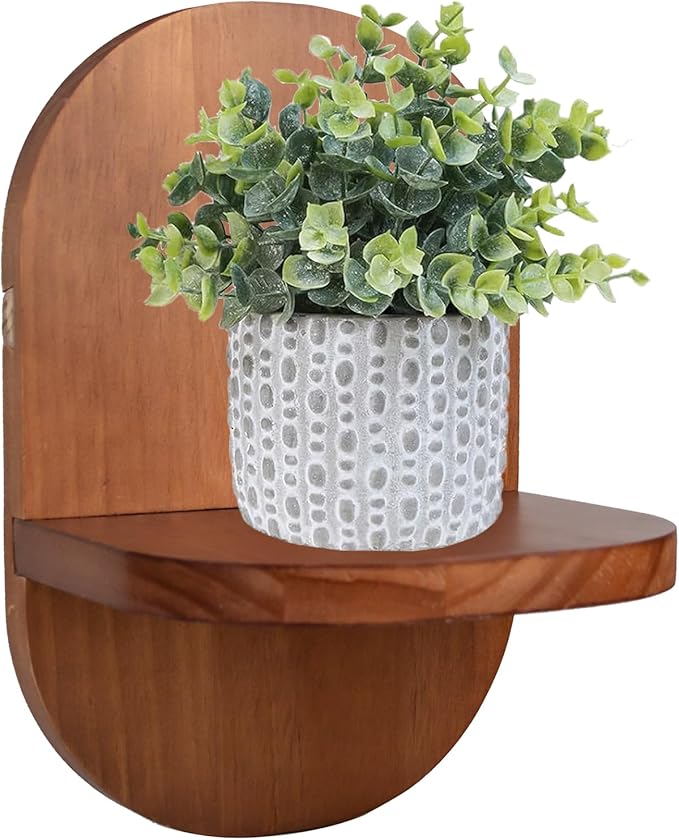 ARTORA Wall Mounted Plant Holder, Wooden Flower Pot Wall Hanging Shelf Black by ARTORA