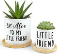 Say Aloe to My Little Friend Planter Pot, Funny Plant Pots, Aloe Plant Pot by Msyueos