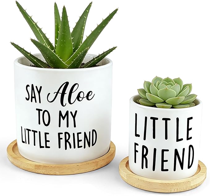 Say Aloe to My Little Friend Planter Pot, Funny Plant Pots, Aloe Plant Pot by Msyueos