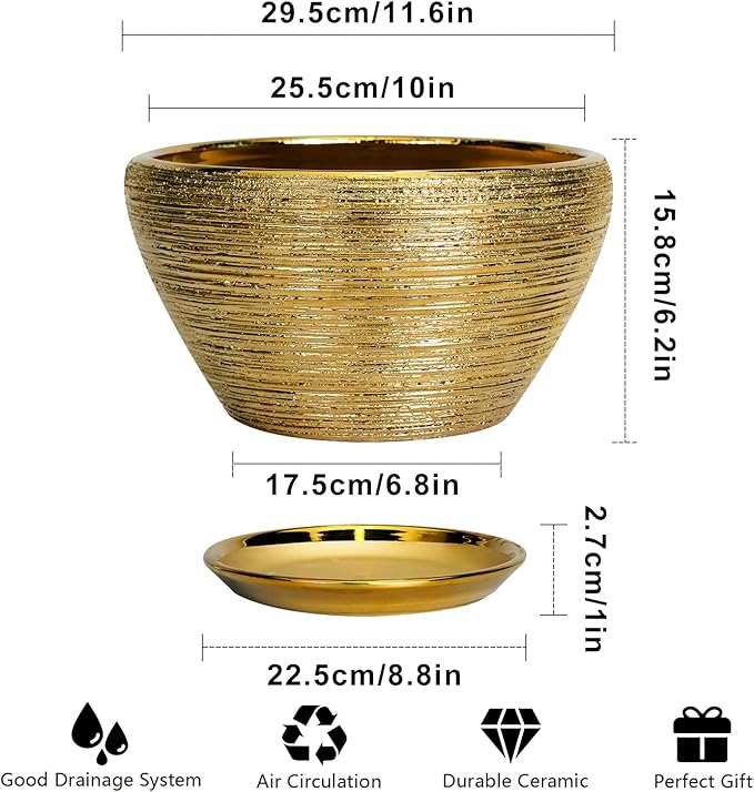 Ceramic Planter 11 Inch - Image 3