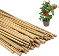 50PCS Plant Stakes, 16 Inch Natural Bamboo Stakes, Garden Stakes by POLIUMB