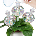 Self Watering Planter Insert. Plant Watering Devices. Plant Watering Bulbs. by KGCCIZI