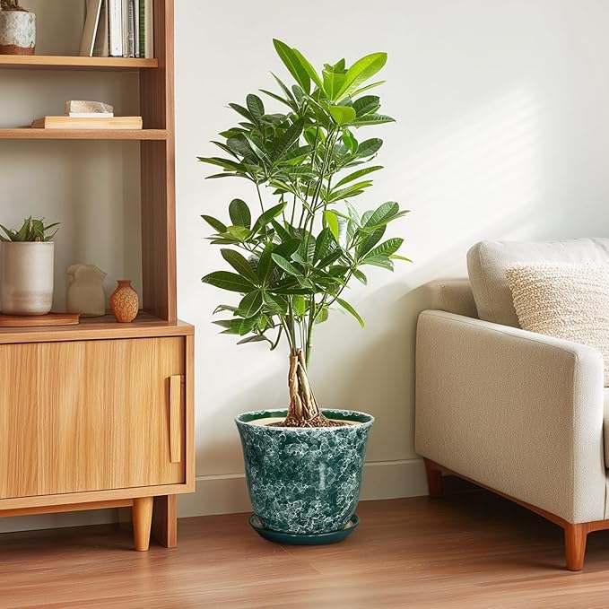 Ceramic Plant Pots - Image 4