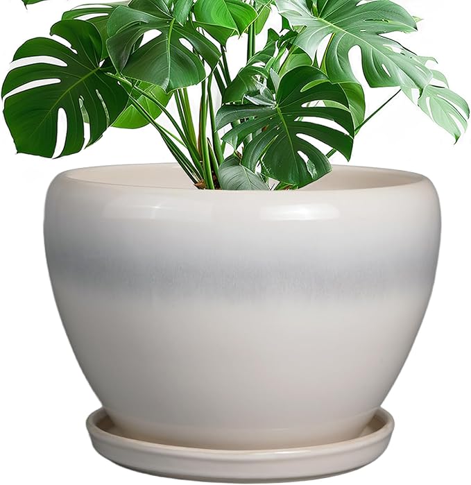 10 Inch Ceramic Planter Pot by Ceramicfor