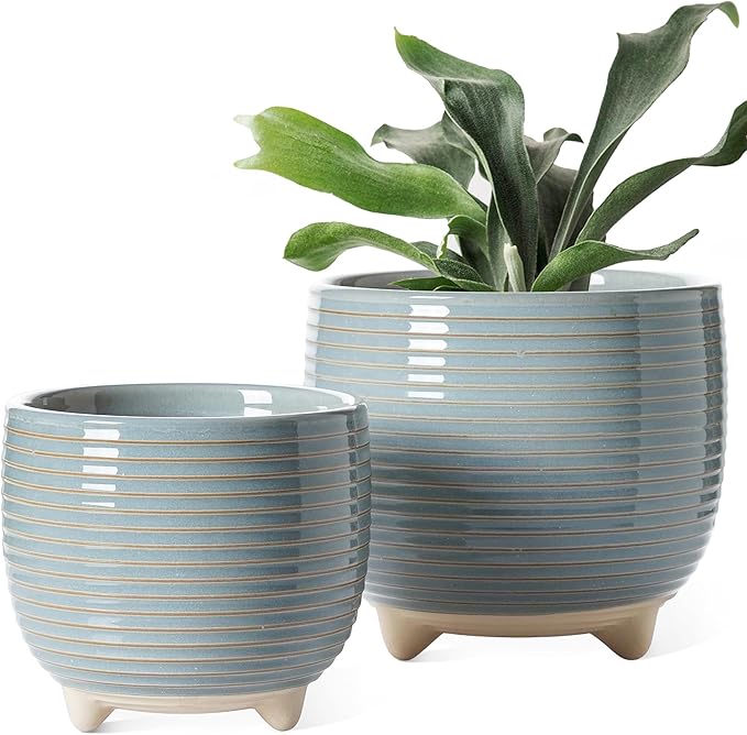 LE TAUCI Ceramic Plant Pots, 5.1 + 6.4 Inch Footed Pots by LETAUCI