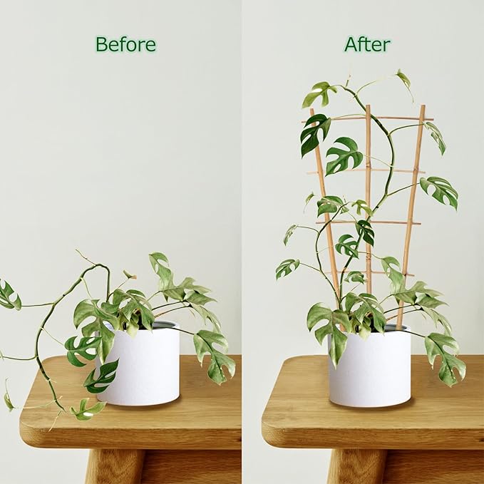 Bamboo Trellis 10 Pack, 16in Fan-Shaped Plant Trellis Indoor - Image 5