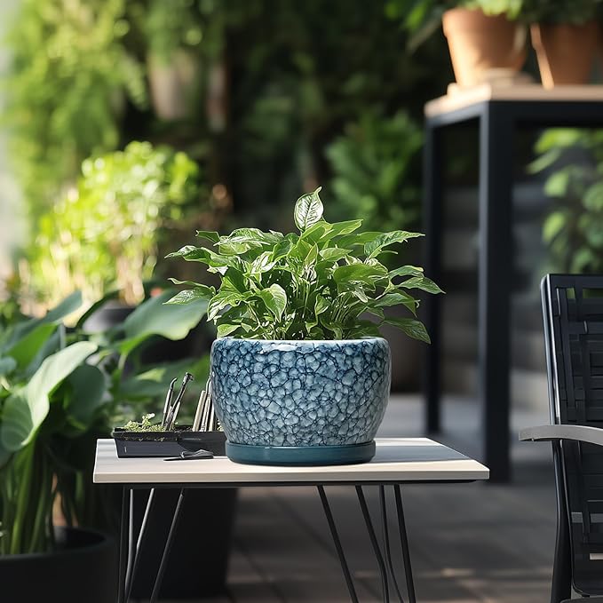 SQOWL 8 inch Plant Pot - Image 5