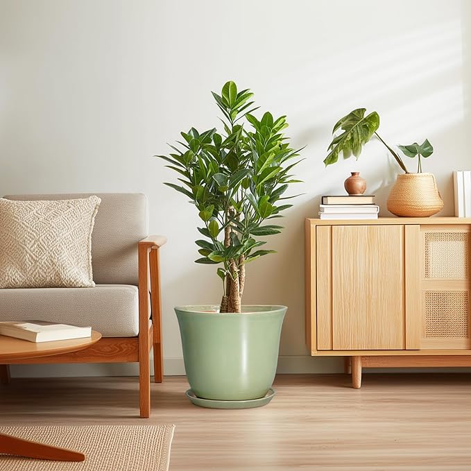 Ceramic Planter - Image 7