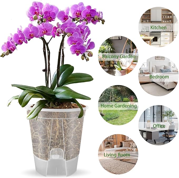 Cdd's Path 5-Pack 6 Inch Self Watering Naked Root Planter Pots - Image 6