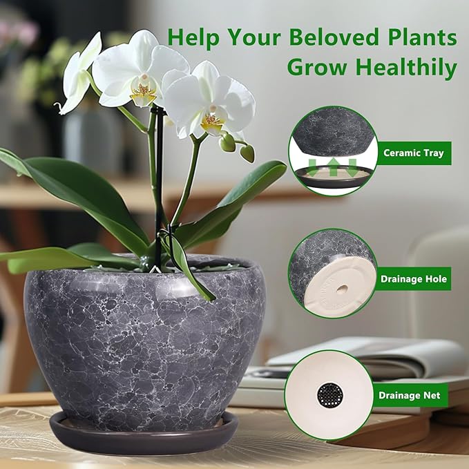 8 Inch Plant Pot - Image 5