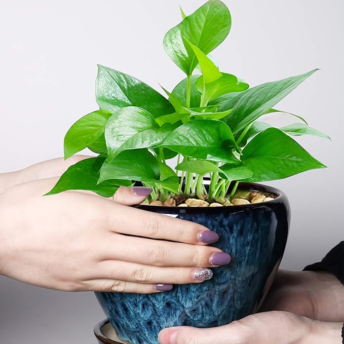 Ceramic Modern Glaze Succulent Planter Pot - Image 6