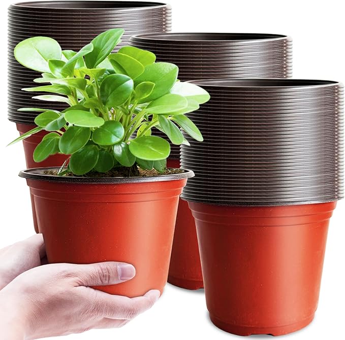 100 Pcs Plant Nursery Pots, 6 Inch Thicker Plastic Seedling Pots by Baaxxango