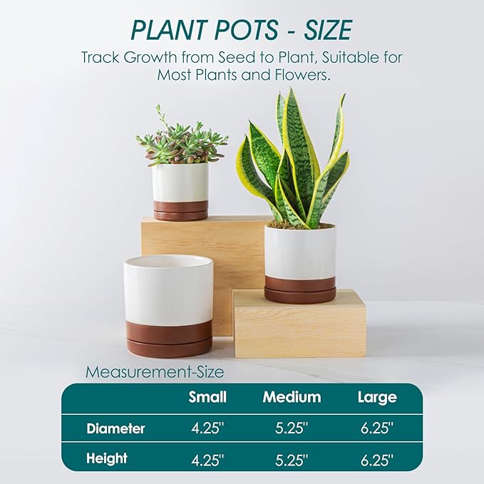 vancasso Ceramic Plant Pots, 3 Piece Planters - Image 2