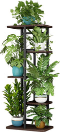 LINZINAR Plant Stand 5 Tier 6 Potted Indoor Plant Shelf Multiple Stands by LINZINAR