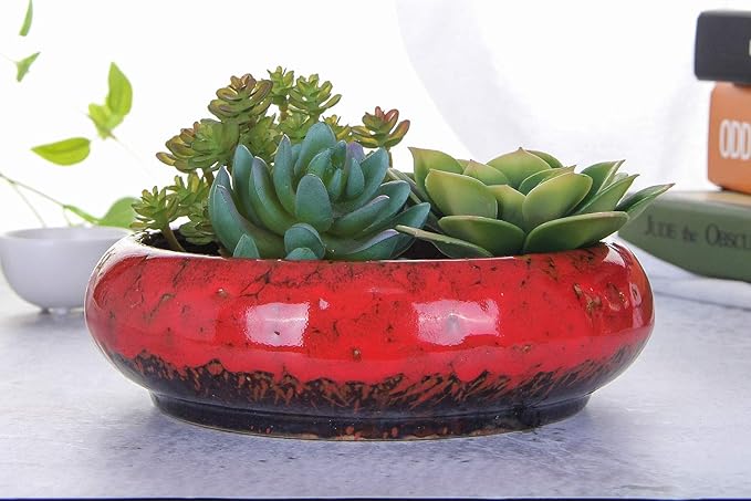 VanEnjoy 7.1 inch Round Large Shallow Succulent Ceramic Glazed Planter Pots - Image 3