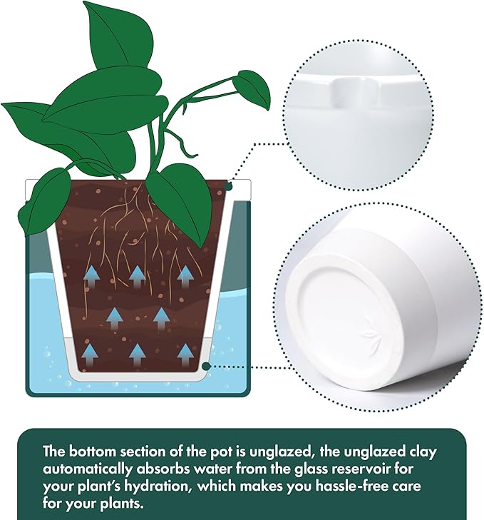 D'vine Dev 8 Inch Design Self Watering Planter - Image 6