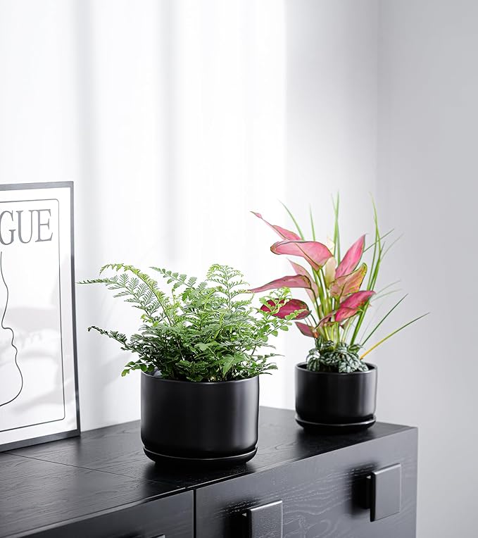 Ton Sin Plant Pots, 4.1+5.1+6.5 inch, Ceramic Planters - Image 7
