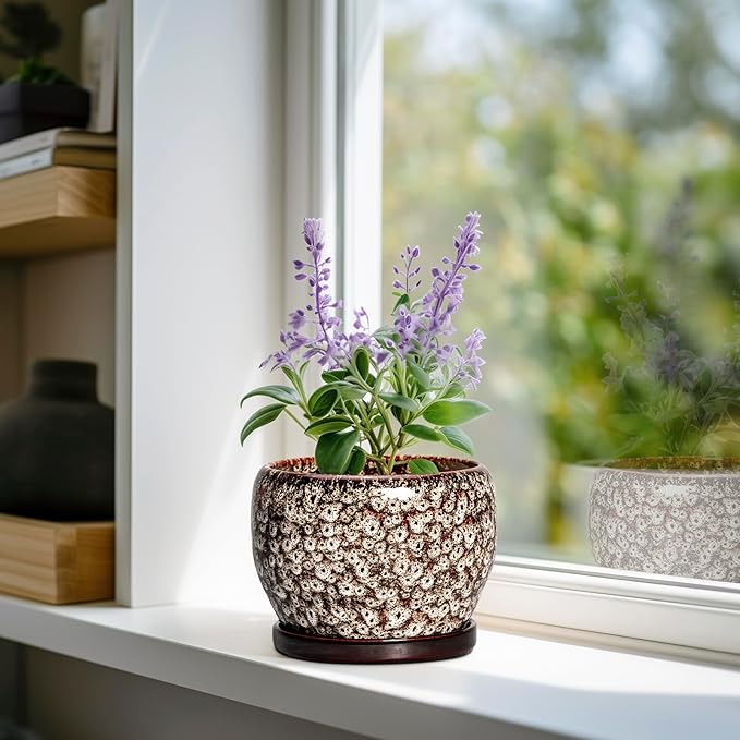 SQOWL Ceramic Plant Pots - Image 2