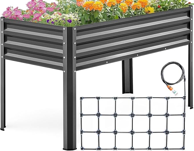 KING BIRD Raised Garden Bed by KINGBIRD