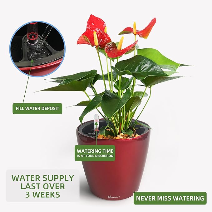 Dexceder 9x8 Inches High Gloss Self Watering Planter Indoor Outdoor, Inner Pot - Image 5