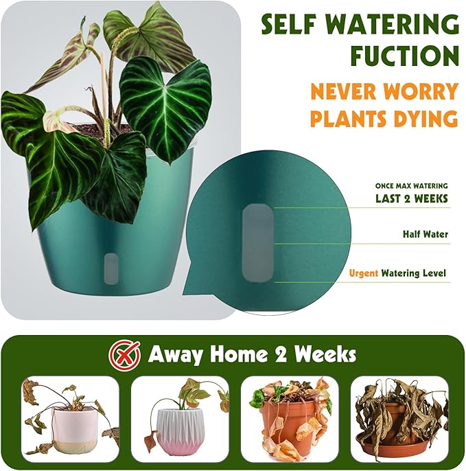 Self Watering Pots for Indoor Plants, Small African Violet Pots - Image 3