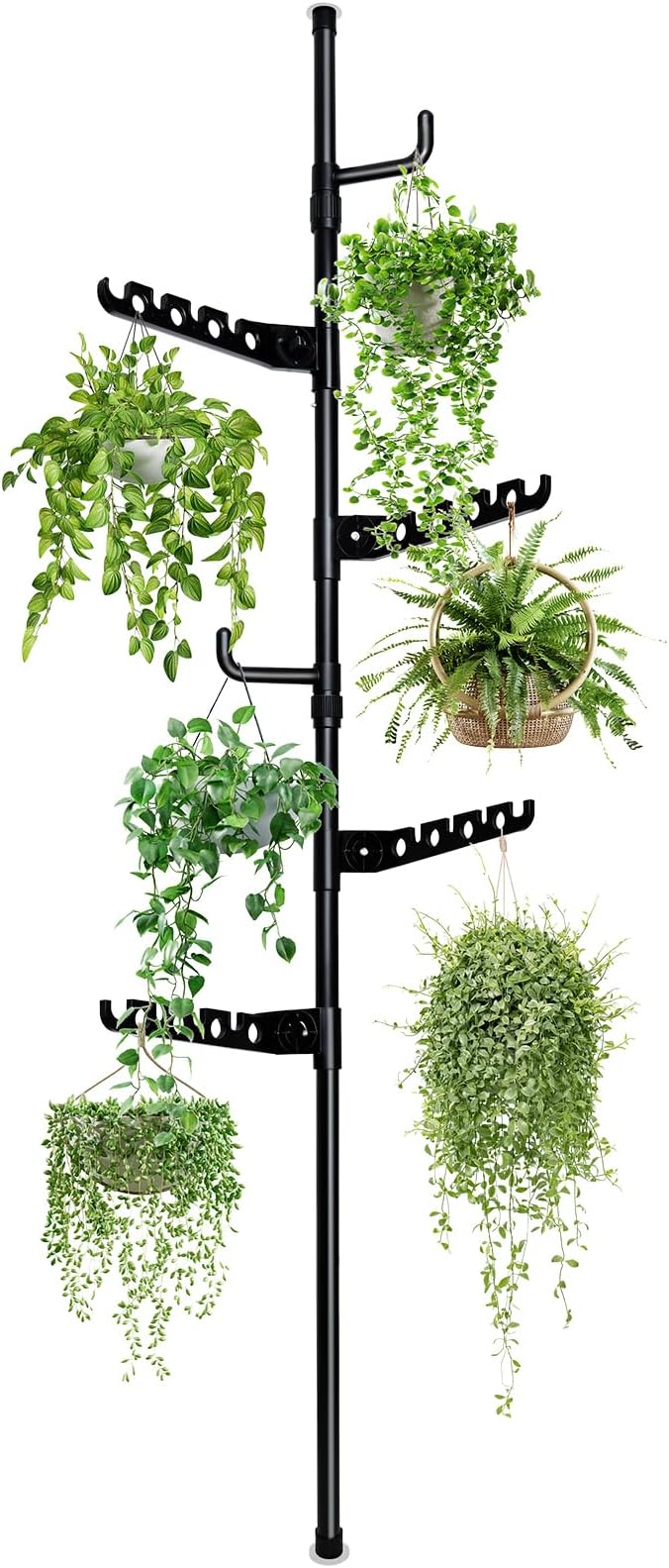 Tension Rod Plant Stand, Plant Poles by Zononoca