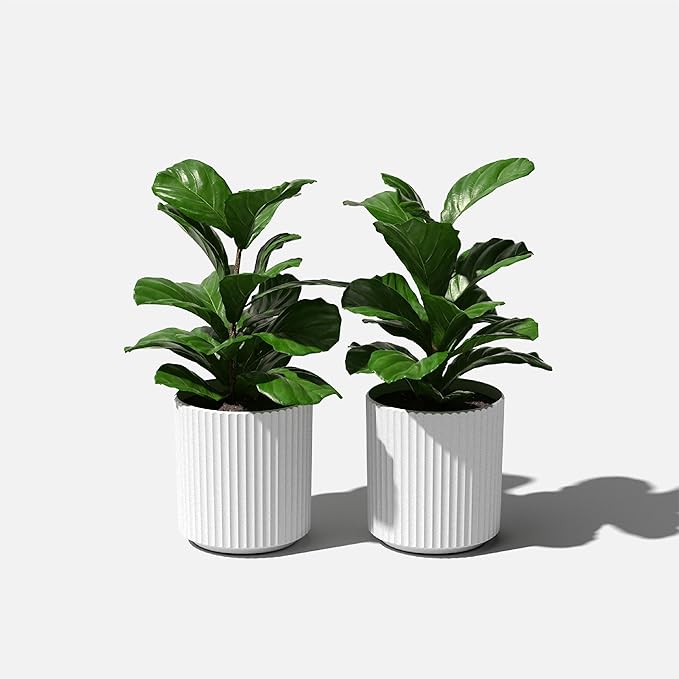 Veradek Demi Series Round Planter - Image 8