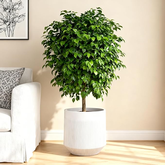 Plant Pots，Set of 2 Plastic Large Pots - Image 7